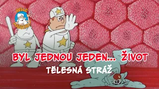 Byl jednou jeden... život 🌱 Telesna straz 🧘