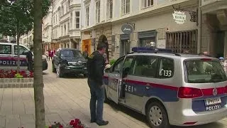 Австрия: босниец, давивший людей на машине, избежит заключения