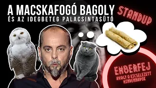 A macskafogó bagoly és az idegbeteg palacsintasütő | Standup | Emberfej