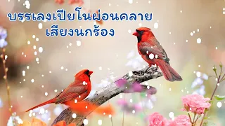 เพลงผ่อนคลาย กับเสียงนกร้องเบาๆ /Piano and birdsounds/Relaxing music #piano #birdsounds