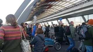 New ferry create chaos at shared space Amsterdam