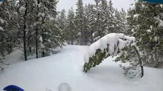 May Snowbiking!