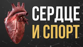 Гипертрофия сердца. Не угробь свое сердце на тренировках