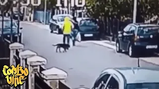 Собачка спас от грабителя🐕