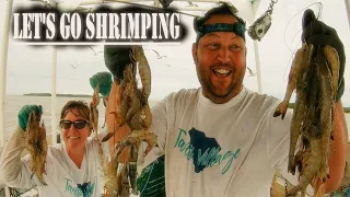 1000's of SHRIMP in Every Trawl... Big Pulls