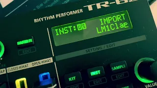 Roland TR6s testing the sample Option