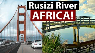 Rusizi River Rusizi River Delta, Rusizi National Park | Burundi/Things to do in Bujumbura | Full HD