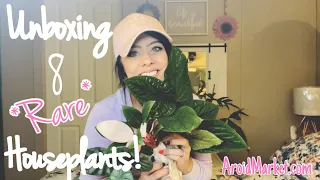 Mega houseplant UNBOXING!! | 8 amazing new plants ! | AroidMarket Unboxing !