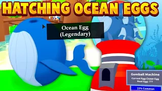 HATCHING OCEAN EGGS IN ADOPT ME! Roblox Adopt Me Ocean Egg Update Pet Concepts/Ideas