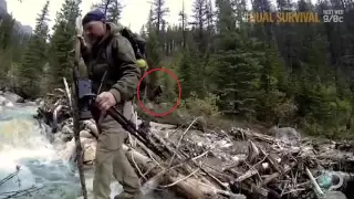 Bigfoot Seen On Survivorman 2015