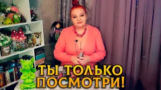 ТЫ ТОЛЬКО ПОСМОТРИ! ЭТО СЕЙЧАС ПРОИСХОДИТ С НИМ ИЗ-ЗА ТЕБЯ!