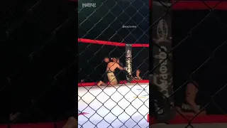 MMA MANIA Боец напал на Рефери после нокаута! Армен Ананян за работой!