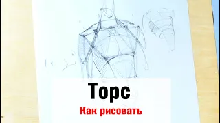 Как рисовать "Торс" - А. Рыжкин