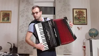 Despacito - Luis Fonsi (Accordion Cover)