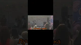 Лучший крик чайки