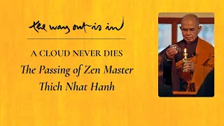 A Cloud Never Dies: The Passing of Zen Master Thich Nhat Hanh  | TWOII podcast | Episode #20