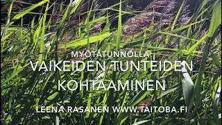 Vaikeiden tunteiden kohtaaminen - pehmentyen, tyyntyen ja sallien /Leena Rasanen, TaitoBa