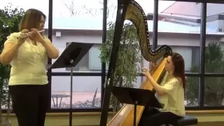 Pachelbel Canon in D for Flute and Harp