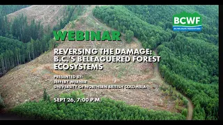 Reversing the damage: BC's forest ecosystems