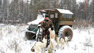 Таёжный промысел в Сибири. Первый снег. Зима набирает обороты