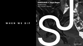 Premier: SANDHAUS, Tamir Regev - Breath It Out (Urmet K Extended Remix)