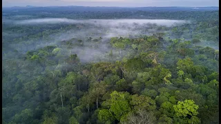 وثائقي | استكشافات الأمازون الجزء الأول