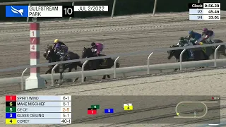 Gulfstream Park Carrera 10 (The Princess Rooney Inv. Gr.2) - 2 de Julio 2022