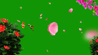 Nature Green Screen / Falling Rose Petals Animation / Background Video Effects hd /Flower Background
