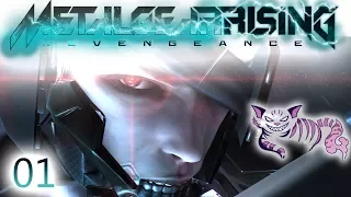 Let's Play Metal Gear Rising: Revengeance Playthrough (Hard) | Part 1 | Mission 1 : R-00 Guard Duty