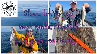 Slow pitch jigging West Rutts, Plymouth | Odyssey Sea Fishing UK.