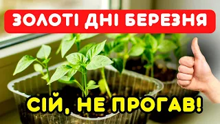 ВЕЛИКИЙ ВРОЖАЙ, СМАЧНІ ПЛОДИ! Золоті дні для посівів у березні 2024 ЗА МІСЯЧНИМ КАЛЕНДАРЕМ