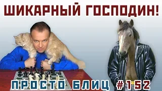 Шикарный господин! ⚡ Просто блиц № 152 📖 Принятый ферзевый гамбит 🎤 Сергей Шипов ♕ Шахматы