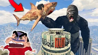 GTA 5 | KING KONG vs MEGLADON SHARK with FRANKLIN in GTA5 | MEGALODON vs. KING KONG with SHINCHAN