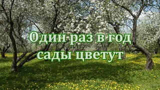 🎶 Анна Герман 🎶 Один раз в год сады цветут 🎶 караоке 🎶 Один раз в год сады цветут с ТЕКСТОМ 🎶