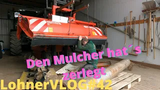 LohnerVLOG#42 Den Mulcher (Dücker UM 27) hat´s zerlegt I Minibagger Terex AM 16 R inkontinent