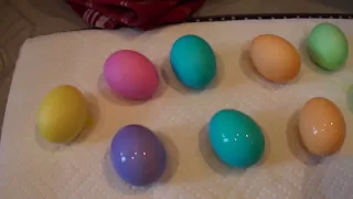 🐰🥚🐾🌷Coloring Easter Eggs with Peeps my dog!🐰🥚🐾🌷