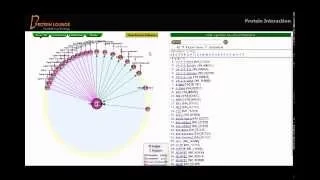 Protein Interaction