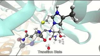 Chemical Mechanism of 3CL Main Protease of SARS-CoV-2. Step1.