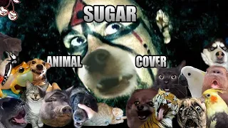 System Of A Down - Sugar (Animal Cover)