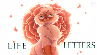 ✨ Life Letters (Kiss Me/ Tseluy Menya)  ||  Squirrelflight PMV ✨