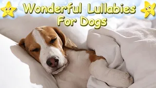 Sleep Music Lullaby For Beagle Puppies ♫ Calm Relax Your Pet Dog ♥ Lullaby For Animals Dog Music
