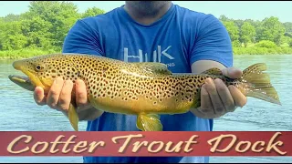 July 7, 2021 Arkansas White River Trout Fishing Report