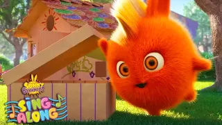 Where Are You? | SUNNY BUNNIES | SING ALONG | Cartoons for Kids | WildBrain Zoo