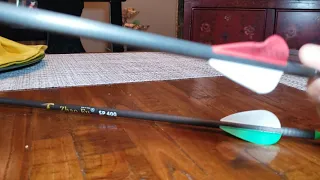 amazon carbon arrows review 28.99 per dozon fletched!!