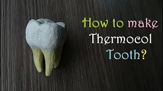 How to make a Tooth 3d model