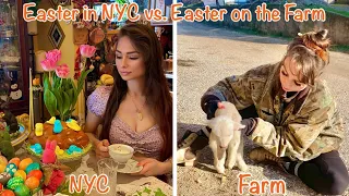 PROS and CONS of Moving to a Bulgarian Farm 🐣 Easter on the Farm VS. Easter in NYC