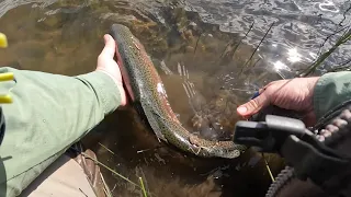 Fly fishing central highland of Victoria, Rainbow trout goes on a solid run after taking nymph.