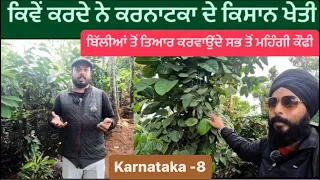 ਕਿਵੇਂ ਕਰਦੇ ਨੇ ਕਰਨਾਟਕਾ ਦੇ ਕਿਸਾਨ ਖੇਤੀ || Coffee Plantation Coorg || Sikh Traveller Karnataka south