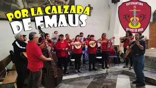 Estudiantina Diluvio de Amor - POR LA CALZADA DE EMAUS (Misa: 23-abril-2023)