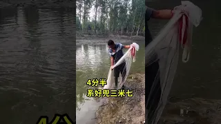 Net Fishing under Ice in the Lake   Catch Hundreds Tons of Fish on winter 1